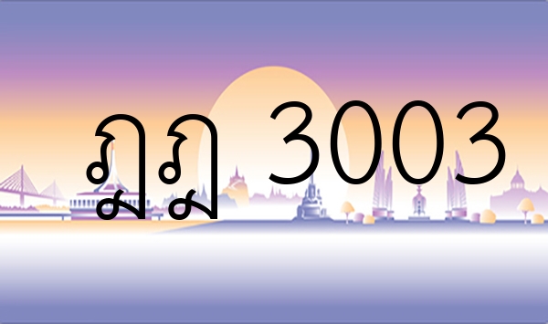 ฎฎ 3003